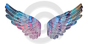 Colored plaster wings