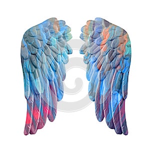 Colored plaster wings