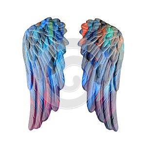 Colored plaster wings
