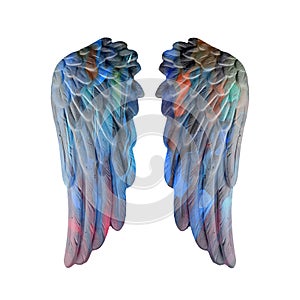 Colored plaster wings