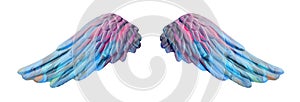 Colored plaster wings