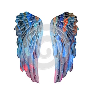 Colored plaster wings