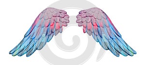 Colored plaster wings