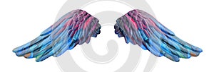 Colored plaster wings