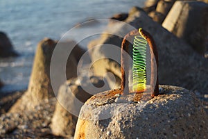 Colored plastic spring on a rusty loop of reinforced concrete shore reinforcement.