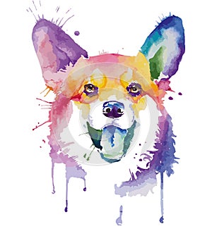 Colored portrait of dog in pop art technique