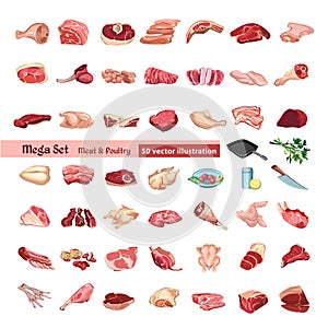 Colored Poultry And Meat Elements Set