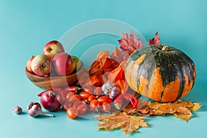 Colored pumpkin and fapples on aquamarine shadowless background photo