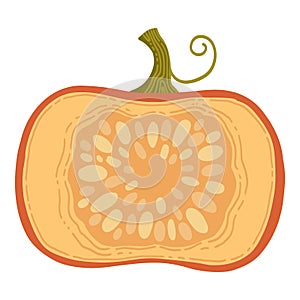 Colored pumpkin hand drawn vector graphic illustration. Colorful drawing autumn vegetable whole, slice and halves
