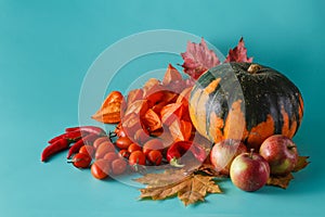 Colored pumpkin shadowless background photo