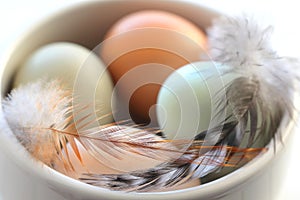 Macro of Raw Eggs with Feather from Domestic Fowl in Bowl