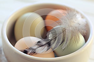 Macro of Raw Eggs with Feather from Domestic Fowl in Bowl