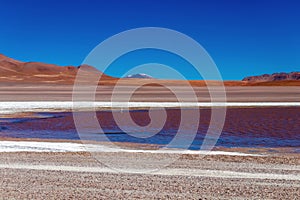 Colored Red Altiplanic Lagoon, a shallow saline lake in the southwest of the Altiplano of Bolivia