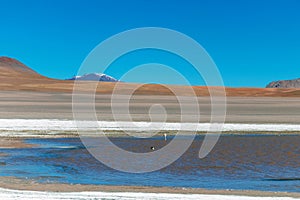 Colored Red Altiplanic Lagoon, a shallow saline lake in the southwest of the Altiplano of Bolivia