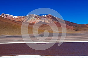 Colored Red Altiplanic Lagoon, a shallow saline lake in the southwest of the Altiplano of Bolivia