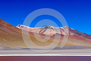 Colored Red Altiplanic Lagoon, a shallow saline lake in the southwest of the Altiplano of Bolivia