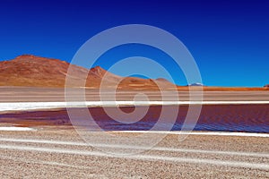 Colored Red Altiplanic Lagoon, a shallow saline lake in the southwest of the Altiplano of Bolivia