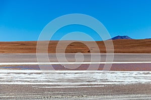 Colored Red Altiplanic Lagoon, a shallow saline lake in the southwest of the Altiplano of Bolivia