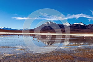 Colored Red Altiplanic Lagoon, a shallow saline lake in the southwest of the Altiplano of Bolivia