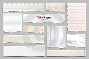 Colored ripped lined paper strips collection. Realistic paper scraps with torn edges. Sticky notes, shreds of notebook