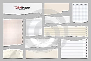 Colored ripped lined paper strips collection. Realistic paper scraps with torn edges. Sticky notes, shreds of notebook