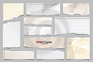 Colored ripped lined paper strips collection. Realistic paper scraps with torn edges. Sticky notes, shreds of notebook