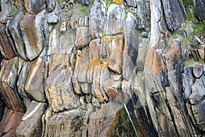 Colored rock wall with vegetation and lichens in Tsitsikama Park