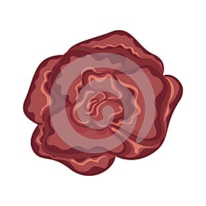 Colored rose flower Aquarela style Vector photo