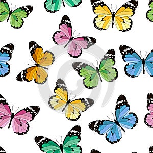 Colored seamless pattern butterfly