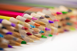 Colored sharpener pencils. Macro shot of many color pencils.