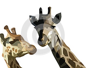 Colored silhouettes of giraffes