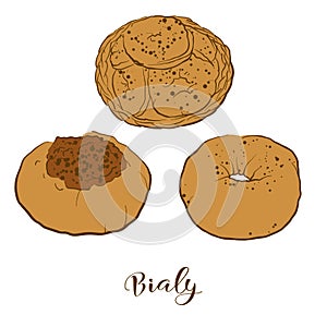 Colored sketches of Bialy bread photo