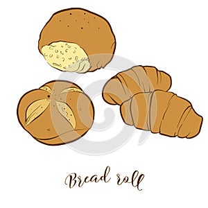 Colored sketches of Bread roll bread