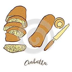 Colored sketches of Ciabatta bread