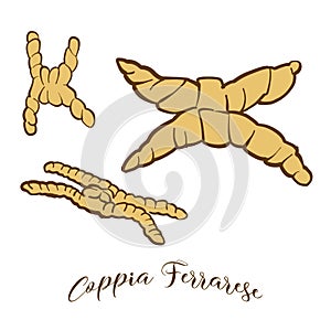 Colored sketches of Coppia Ferrarese bread photo