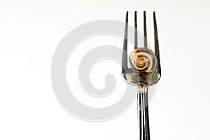 Snail on a fork on a white isolated background
