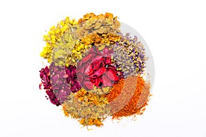 Colored spices photo
