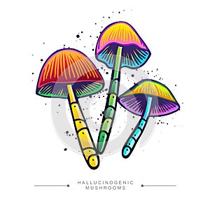 Colored sticker of three fly agarics. Toxic magical hallucinogenic mushrooms. Toadstool concept hand drawn