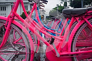 Colored street bikes for rent