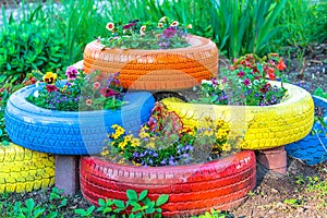 Colored Tires photo