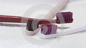 Colored Tooth brushes on the white background.