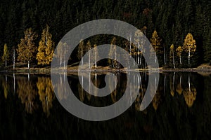 Colored tree reflection in a mountain lake