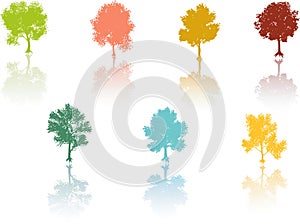 Colored tree reflection Vector