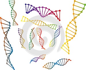 Colored vector illustration of dna model