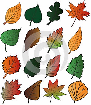 Colored vector leaves of different trees
