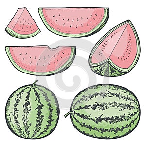 Colored Watermelon Icon Sketches