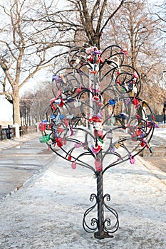 Colored wedding locks, Ryazan, Russia