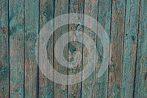 Colored wood texture from old gray blue shabby planks