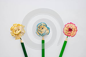 Colored wooden pencils, shavings lined with flowers, isolated on a white background. Old wooden pencils with garbage, shavings