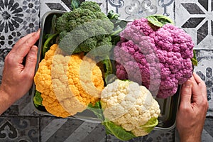 Colorfu cauliflower. Various sort of cauliflower in metal container that holds male hands on stone tiles gray concrete background.